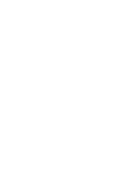 Lloko Pickup